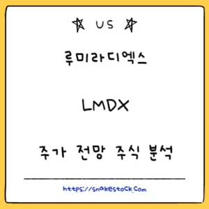 Read more about the article 루미라디엑스 주가 전망 주식 분석 LMDX